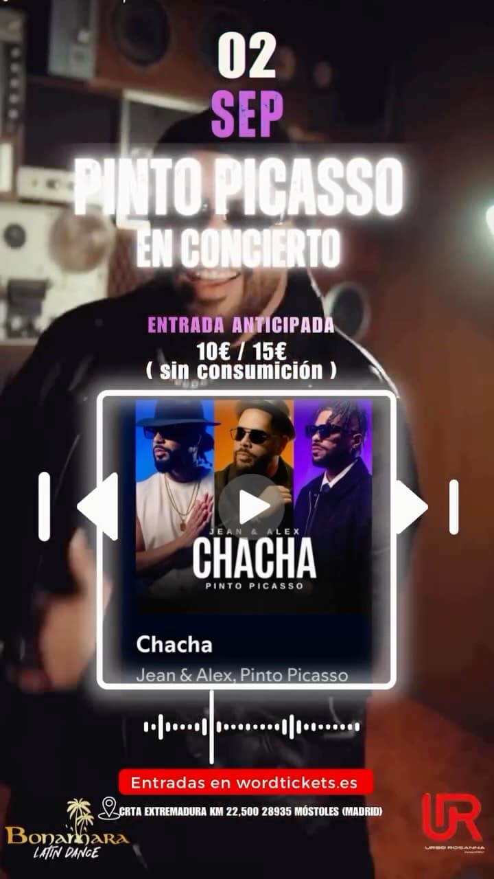 Pinto Picasso en concierto
